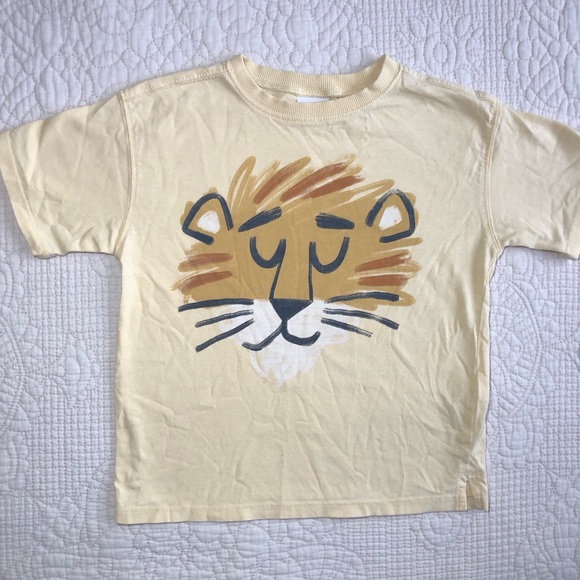 ZARA Toddler Skate Park and Lion Graphic T-Shirt Set of 2 Size 4T - Picture 7 of 12